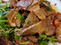 -小叫驴养生驴肉火锅(龙游店)