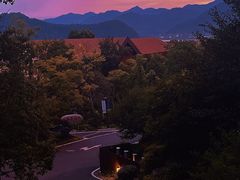 -杭州桐庐康莱德酒店-荟