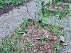 -前小桔亲子创意农场·草莓采摘·露营烧烤