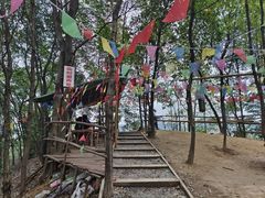 -南山植物园