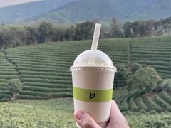 -白茶原·一片叶子