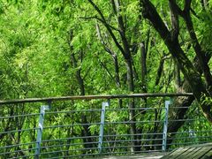 -西湖风景区-江洋畈生态公园