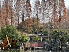 -郑和公园