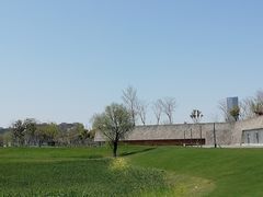-上海山野camping·户外天幕烧烤·团建拓展营地