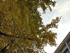 -老鼎万春卤菜(五代传承创始老店)