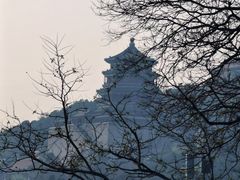 -颐和园
