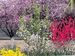 -元大都城垣遗址公园