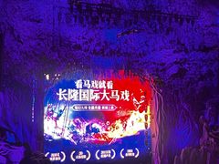 -广州长隆国际大马戏