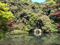 -龙坞茶村
