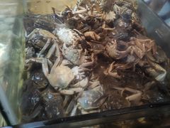 -领鲜活海鲜榴莲自助火锅(东门店)