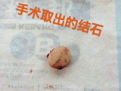 -思宇宠物医院