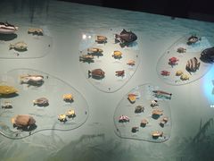 -中国湿地博物馆
