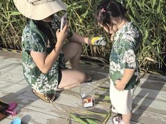 -鹦鹉洲湿地公园