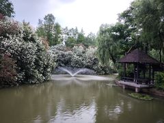 -黄兴公园