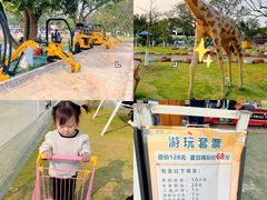 -长洲岛都市农业公园