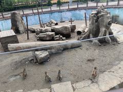 -沈阳森林动物园