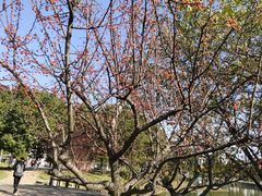 -安徽大学(磬苑校区)