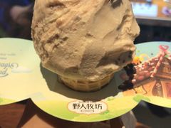 -野人牧坊Gelato(天津南开大悦城店)
