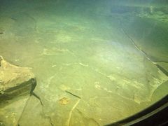 iphone_upload_pic-白鹤梁水下博物馆