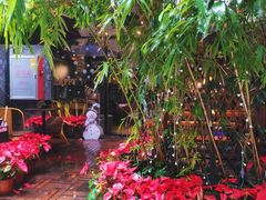 -咖法森林·咖啡  酒吧(天河店)