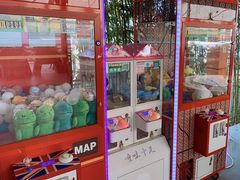 -向外鱼乐·土菜·虹鳟鱼