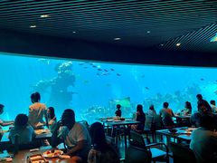 大堂-海棠湾洲际-涛·海底餐厅·美人鱼·自助餐·海底隧道