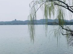 -苏堤停车场