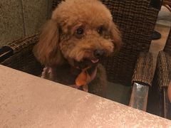 -湘村人家(常平中元街店)