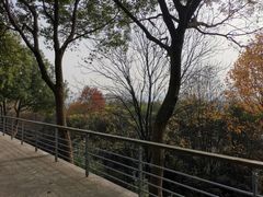 -西湖风景区-江洋畈生态公园