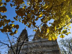 -北京石刻艺术博物馆(五塔寺)