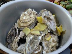 -大湾金牌万州烤鱼(沙河店)