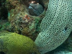 -乌鲁木齐海洋馆