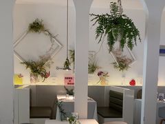 -春树下·树屋花房西餐厅(罍街AS1980店)