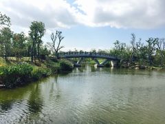 -上海长兴岛郊野公园