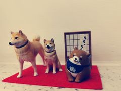 -Onirii Coffee(长乐路店)