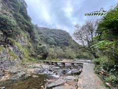 -水墨汀溪风景区