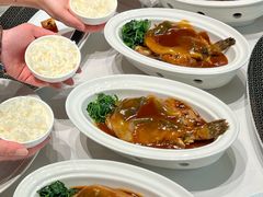 -新光酒家·河豚·海鲜·蟹料理(浦东店)