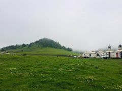 -关山草原
