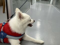 -心仪动物医院·牙专科·肿瘤·心脏科(西客站院)