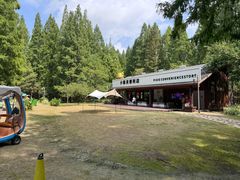 -黄海国家森林公园