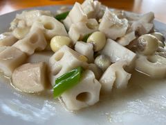 -洪湖生态旅游区