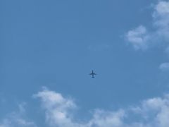 -木塔寺遗址生态公园