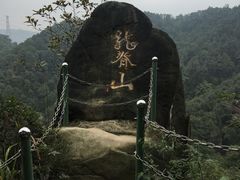 -南山植物园