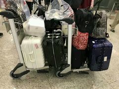 -乐天免税店(明洞店)