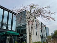 景观位-星巴克(深圳前海企业公馆店)