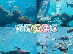 -长鹿旅游休博园