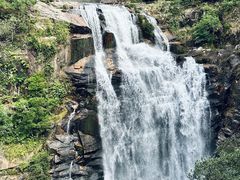 -海南热带雨林国家公园吊罗山景区