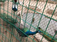 -武汉紫薇都市田园