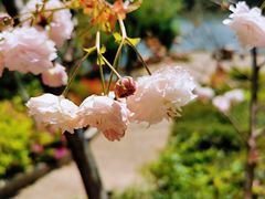 -黑龙潭公园