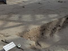 -西安大唐西市博物馆
